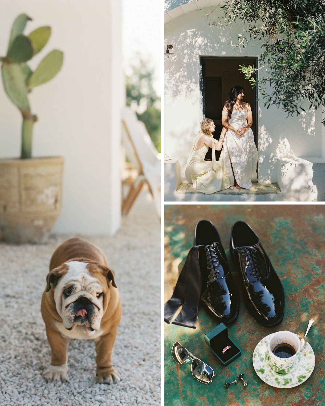 A collage shows a bulldog outdoors, a bride getting ready with help from another woman, and men’s formal accessories including shoes, sunglasses, a ring box, and a cup of coffee.