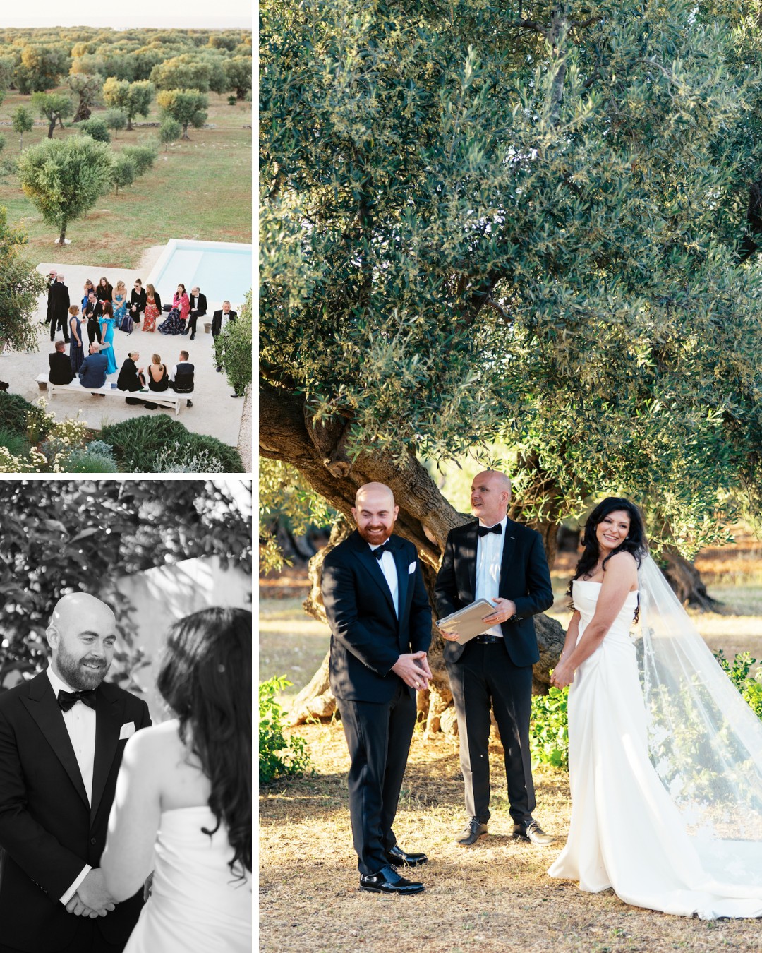 A wedding ceremony outdoors: bride and groom stand under a tree with an officiant. Guests are seated nearby. The setting is a natural, green landscape.